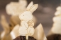Preview: Cake Topper Muffin Stecker Set Osterhasen